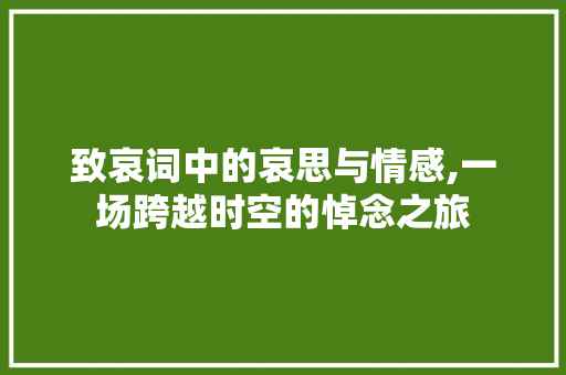 致哀词中的哀思与情感,一场跨越时空的悼念之旅 工作总结