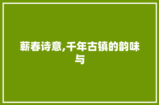 蕲春诗意,千年古镇的韵味与