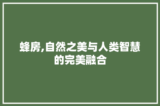 蜂房,自然之美与人类智慧的完美融合