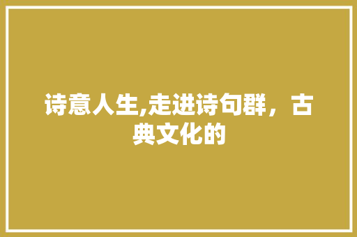诗意人生,走进诗句群，古典文化的