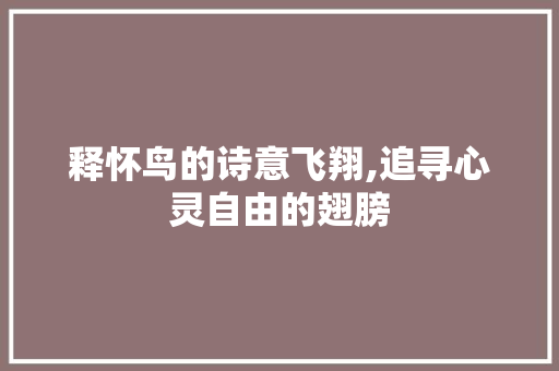 释怀鸟的诗意飞翔,追寻心灵自由的翅膀