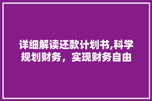 详细解读还款计划书,科学规划财务，实现财务自由 生活类