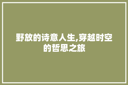 野放的诗意人生,穿越时空的哲思之旅