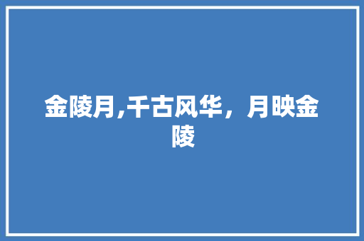 金陵月,千古风华，月映金陵