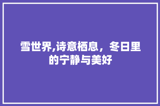 雪世界,诗意栖息，冬日里的宁静与美好