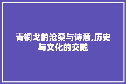 青铜戈的沧桑与诗意,历史与文化的交融