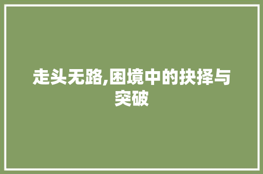 走头无路,困境中的抉择与突破