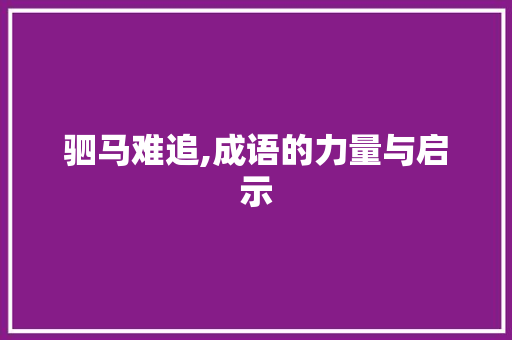 驷马难追,成语的力量与启示