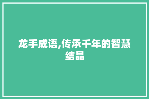 龙手成语,传承千年的智慧结晶