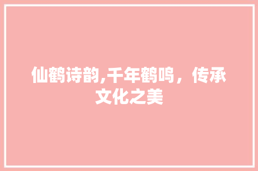 仙鹤诗韵,千年鹤鸣，传承文化之美 生活随笔