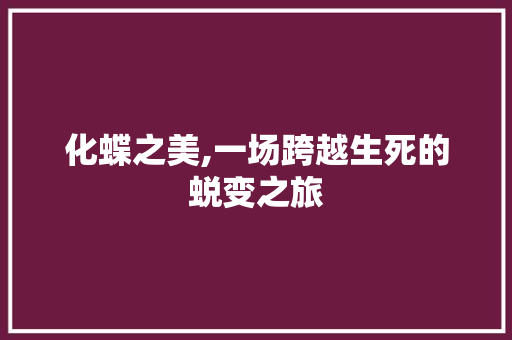 化蝶之美,一场跨越生死的蜕变之旅