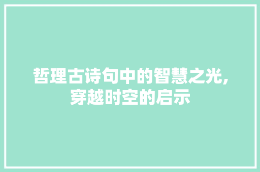 哲理古诗句中的智慧之光,穿越时空的启示