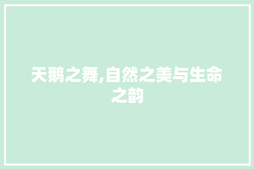 天鹅之舞,自然之美与生命之韵
