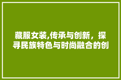 藏服女装,传承与创新，探寻民族特色与时尚融合的创业之路 特写稿