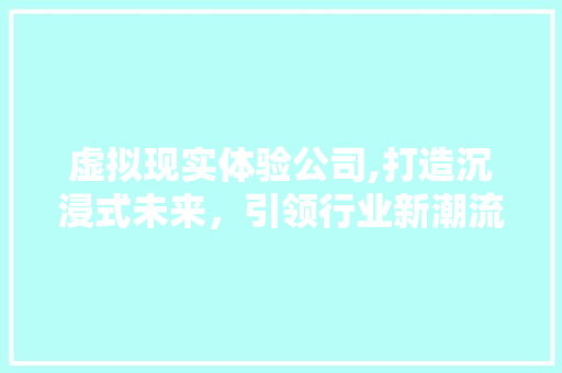 虚拟现实体验公司,打造沉浸式未来，引领行业新潮流