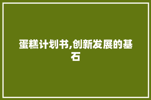 蛋糕计划书,创新发展的基石
