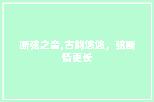 断弦之音,古韵悠悠，弦断情更长