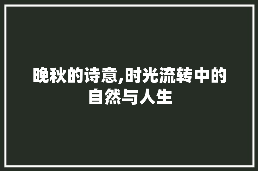 晚秋的诗意,时光流转中的自然与人生