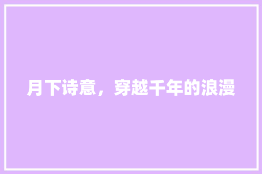 月下诗意，穿越千年的浪漫