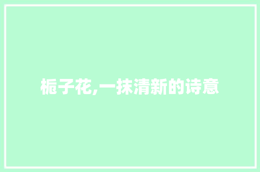 栀子花,一抹清新的诗意