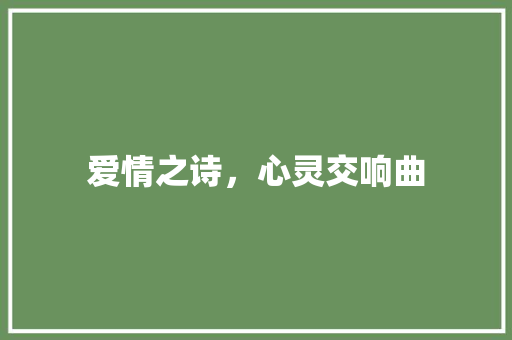 爱情之诗，心灵交响曲 工作类