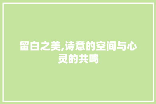 留白之美,诗意的空间与心灵的共鸣