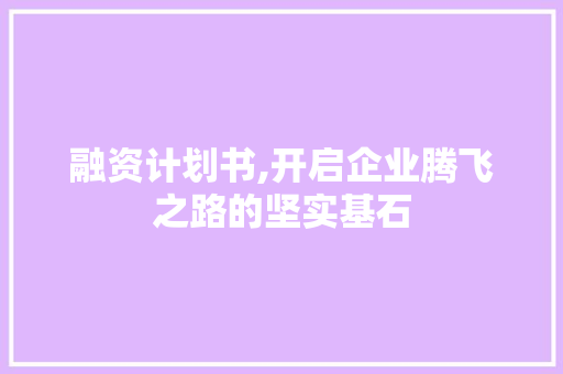 融资计划书,开启企业腾飞之路的坚实基石