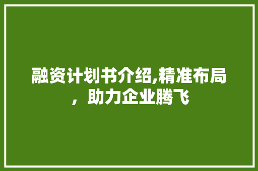 融资计划书介绍,精准布局，助力企业腾飞