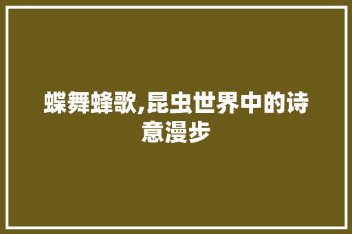 蝶舞蜂歌,昆虫世界中的诗意漫步