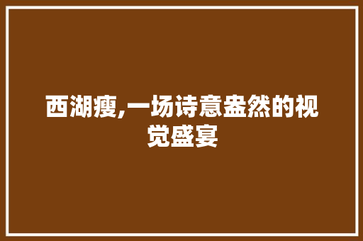 西湖瘦,一场诗意盎然的视觉盛宴