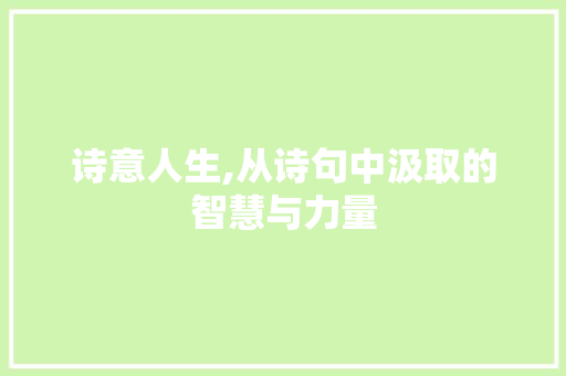 诗意人生,从诗句中汲取的智慧与力量