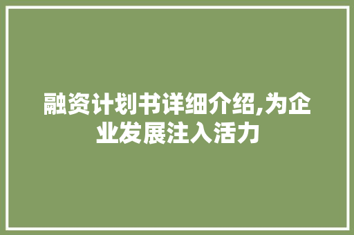 融资计划书详细介绍,为企业发展注入活力
