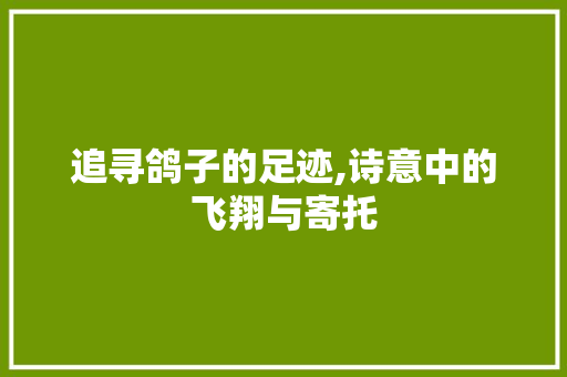 追寻鸽子的足迹,诗意中的飞翔与寄托