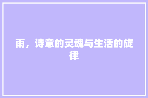 雨，诗意的灵魂与生活的旋律