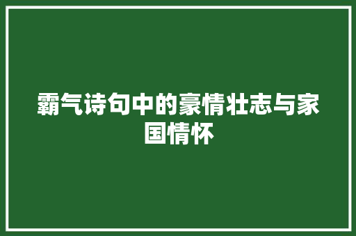霸气诗句中的豪情壮志与家国情怀