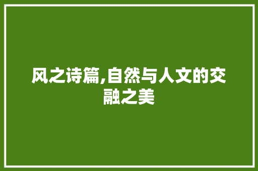 风之诗篇,自然与人文的交融之美