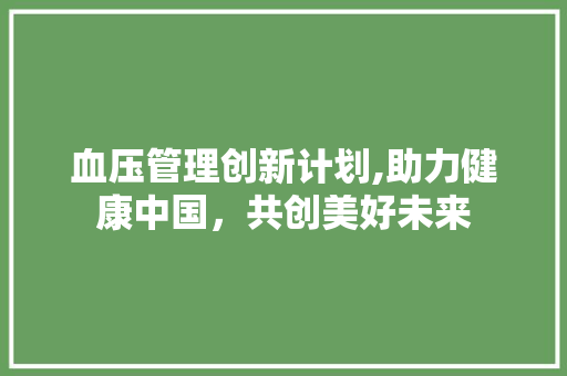 血压管理创新计划,助力健康中国，共创美好未来