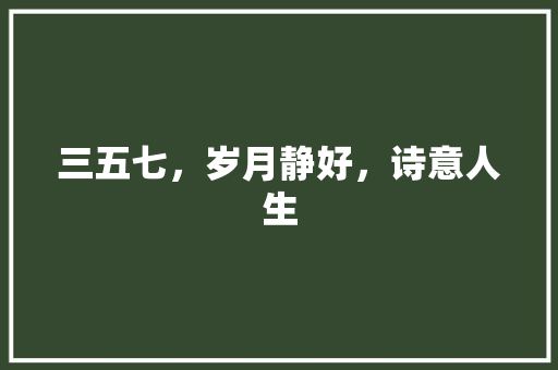 三五七，岁月静好，诗意人生 特写稿