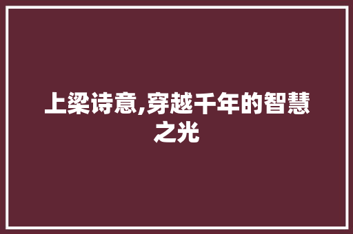 上梁诗意,穿越千年的智慧之光