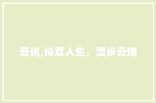 云说,诗意人生，漫步云端
