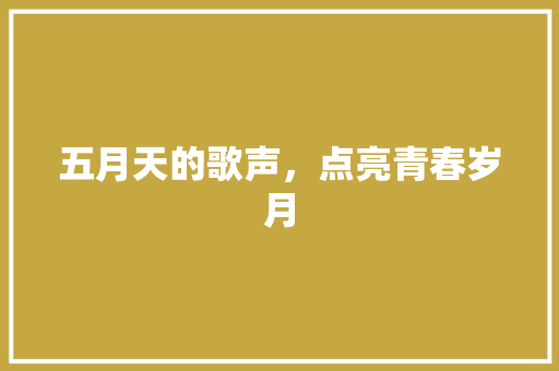 五月天的歌声，点亮青春岁月 采访稿