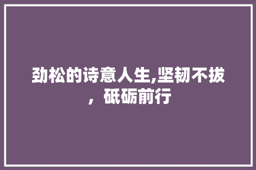 劲松的诗意人生,坚韧不拔，砥砺前行