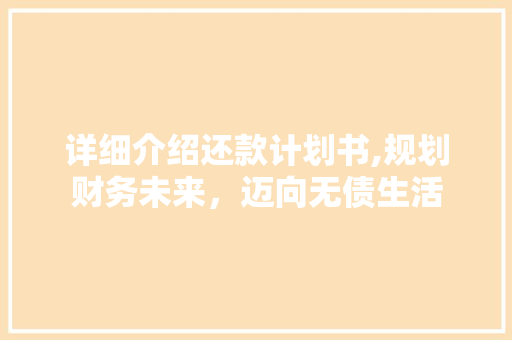 详细介绍还款计划书,规划财务未来，迈向无债生活