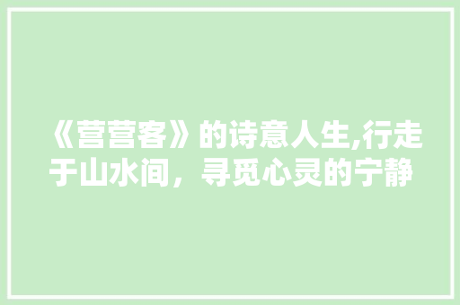 《营营客》的诗意人生,行走于山水间，寻觅心灵的宁静