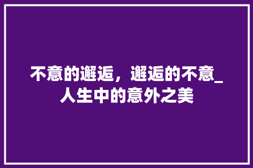 不意的邂逅，邂逅的不意_人生中的意外之美 工作报告