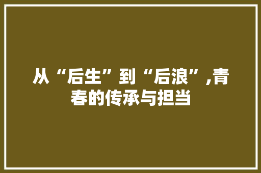 从“后生”到“后浪”,青春的传承与担当