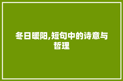 冬日暖阳,短句中的诗意与哲理
