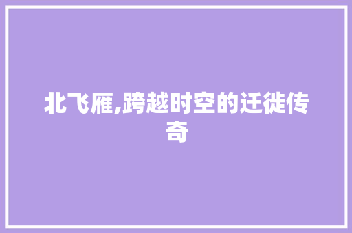北飞雁,跨越时空的迁徙传奇