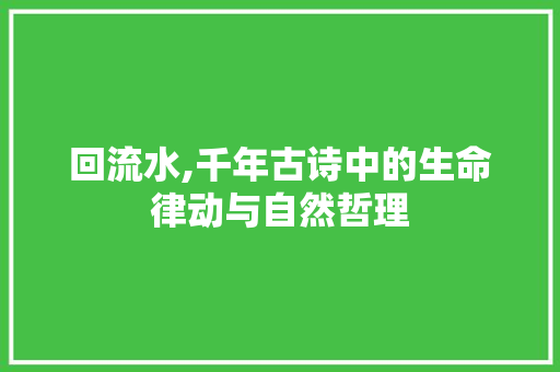 回流水,千年古诗中的生命律动与自然哲理