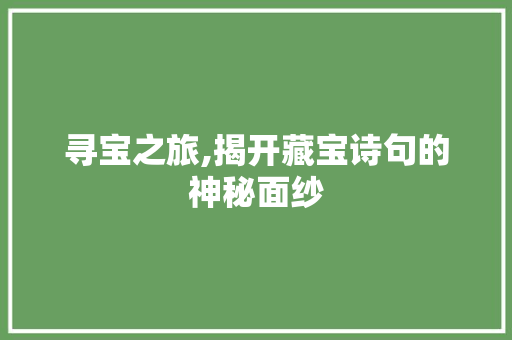 寻宝之旅,揭开藏宝诗句的神秘面纱